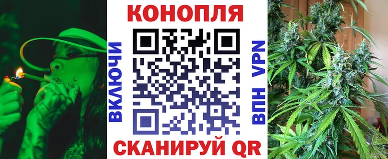 наркотики  Заволжск  Шишки марихуана SATIVA & INDICA 